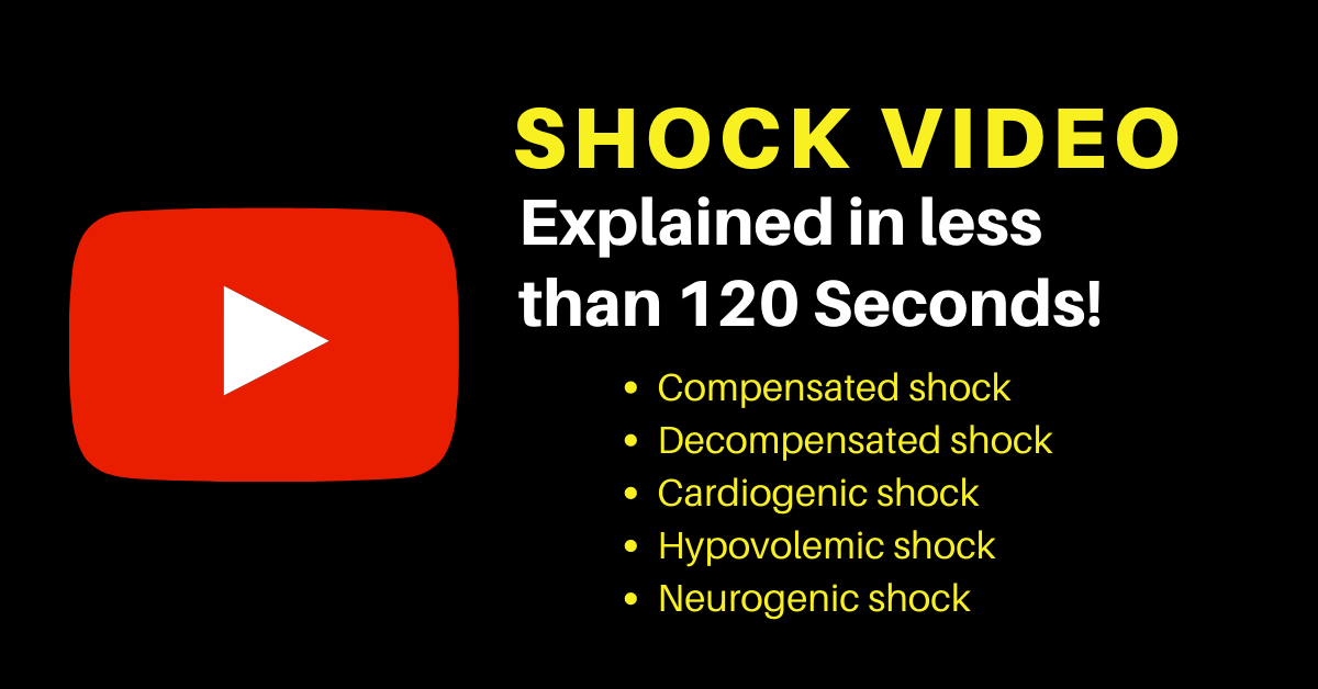 Shock Video
