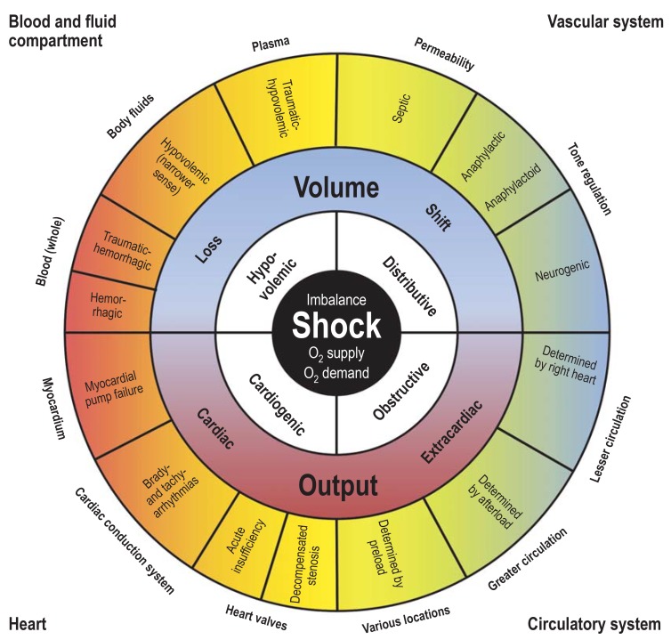 types of shock chart