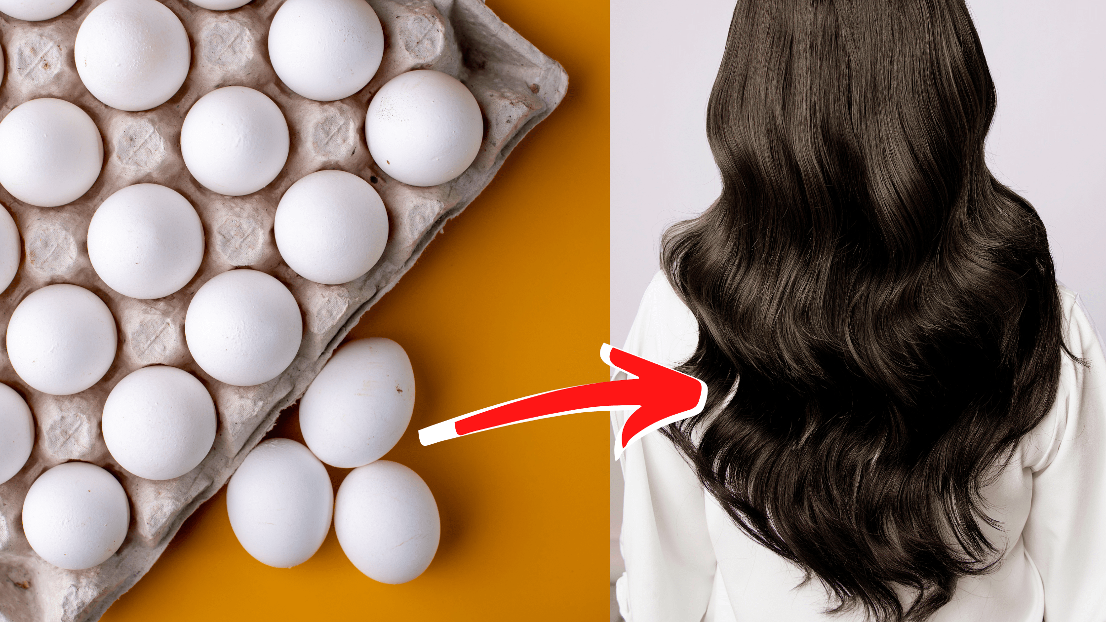 Eggs For Hair Best Ways and Tips For Healthy & Gorgeous Hair
